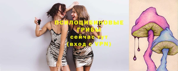 ГАЛЛЮЦИНОГЕННЫЕ ГРИБЫ Алексин