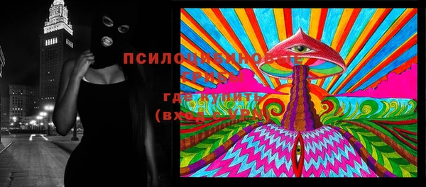 прущие крисы Алзамай