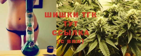 ГАЛЛЮЦИНОГЕННЫЕ ГРИБЫ Алексин