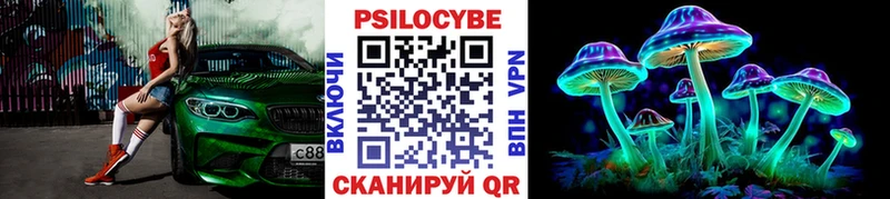 Псилоцибиновые грибы мухоморы  цены наркотик  Карабаш 